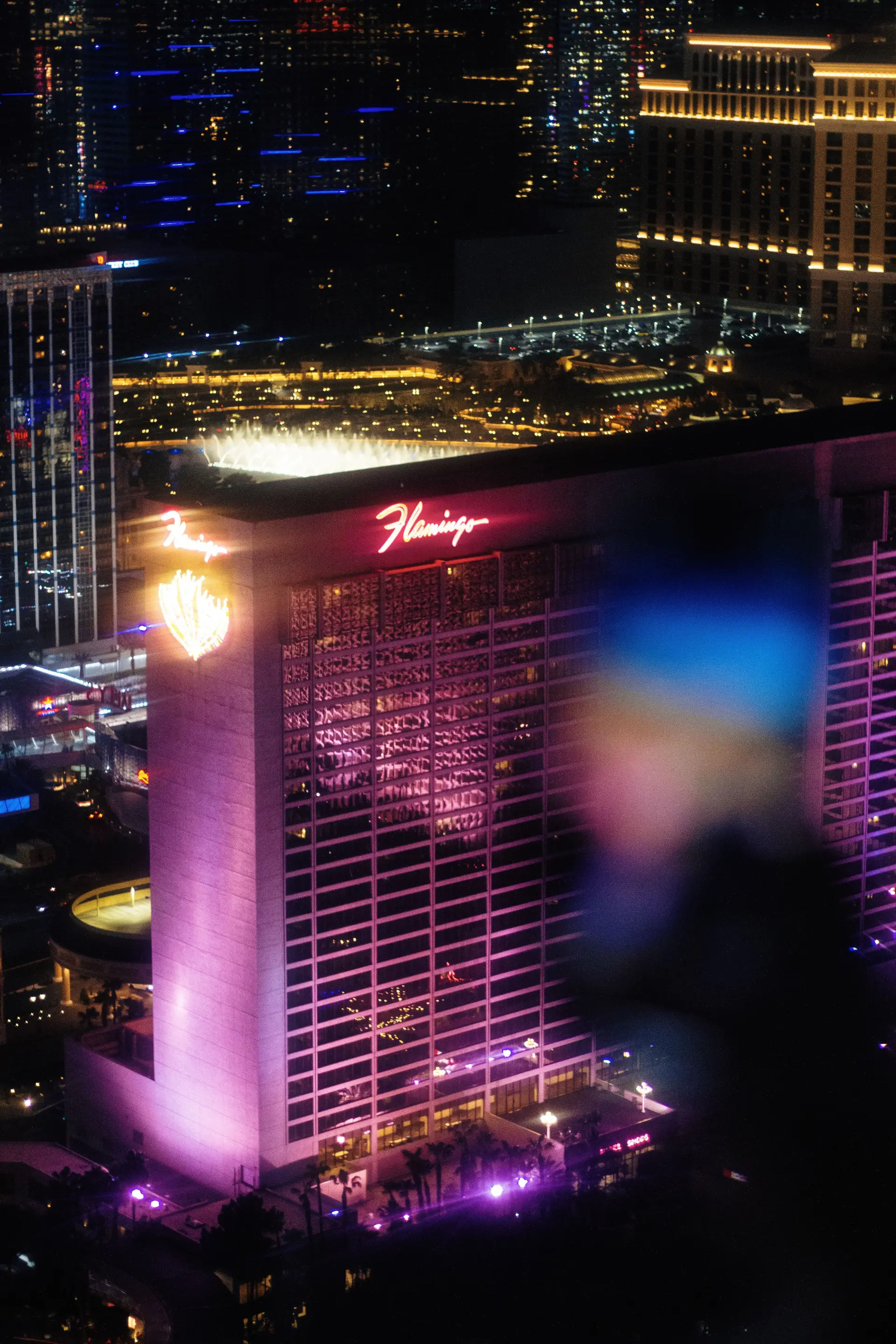 Cinematic night view of casino lights